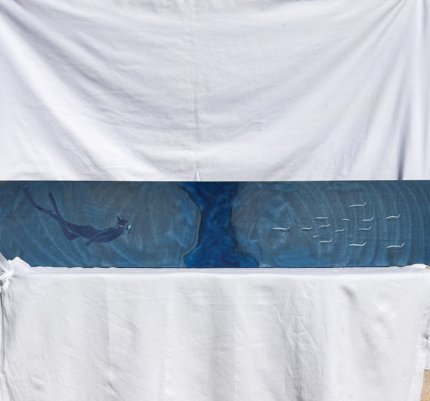 Le plongeur sous la mer