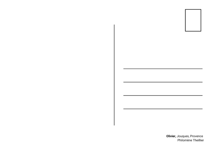 Olivier – Image 2